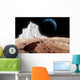 Explore Wall Decal