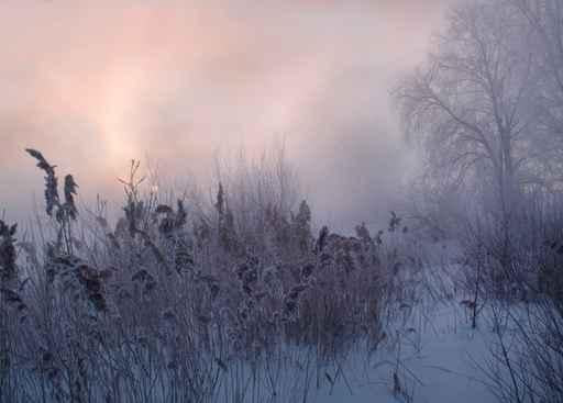 Winter Sunrise Wall Decal