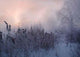 Winter Sunrise Wall Decal