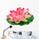 Artificial Water Lily Pink Flower Wall Decal