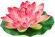 Artificial Water Lily Pink Flower Wall Decal
