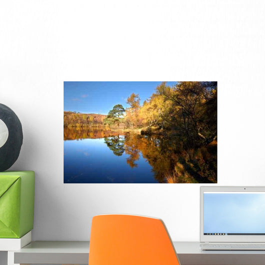 Autumn Reflections Wall Decal