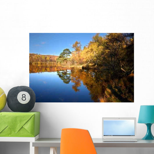 Autumn Reflections Wall Decal