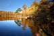 Autumn Reflections Wall Decal