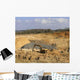 Cotswold Stone Quarry Broadway Wall Decal Design 1
