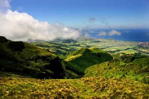 Azores Wall Decal Design 1