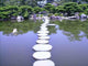 Stepping Stones Wall Decal