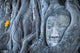 Buddha Head