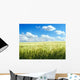 Barley Field over Blue Wall Decal