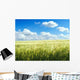 Barley Field over Blue Wall Decal