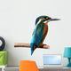 Common Kingfisher Wall Decal
