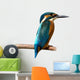 Common Kingfisher Wall Decal