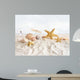 Starfish and seashells  at the beach Wall Mural
