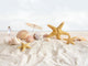 Starfish and seashells  at the beach Wall Mural