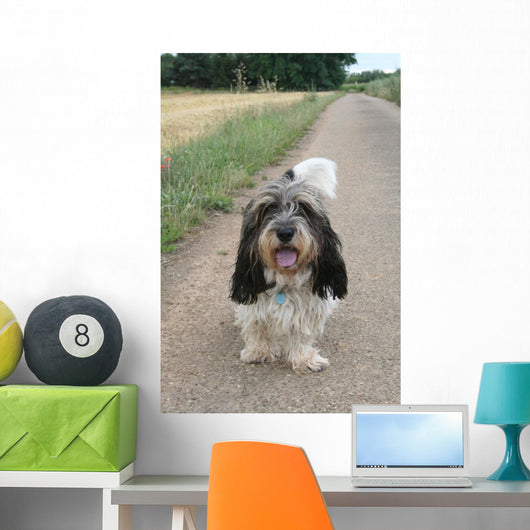 petit basset griffon vendéen Wall Mural