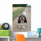 petit basset griffon vendéen Wall Mural