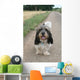 petit basset griffon vendéen Wall Mural