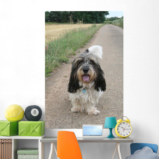 petit basset griffon vendéen Wall Mural