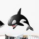 Orca