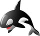 Orca
