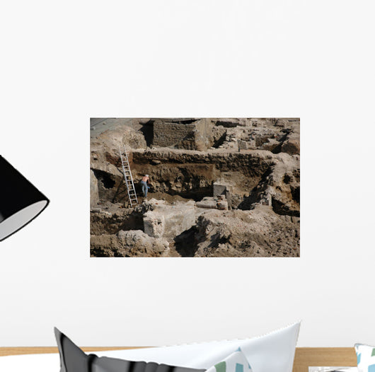 Archaeology Wall Mural