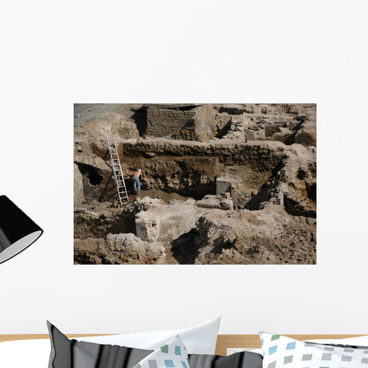 Archaeology Wall Mural