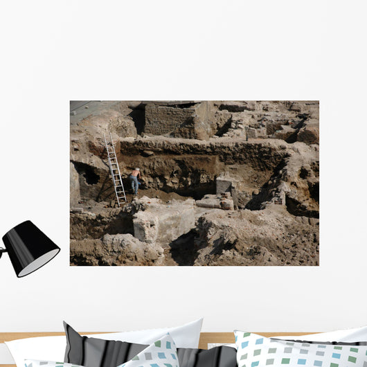 Archaeology Wall Mural