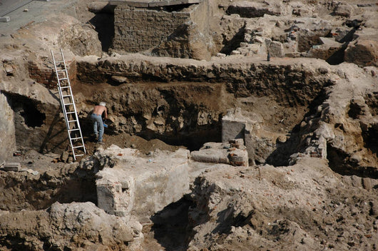 Archaeology Wall Mural