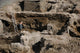 Archaeology Wall Mural