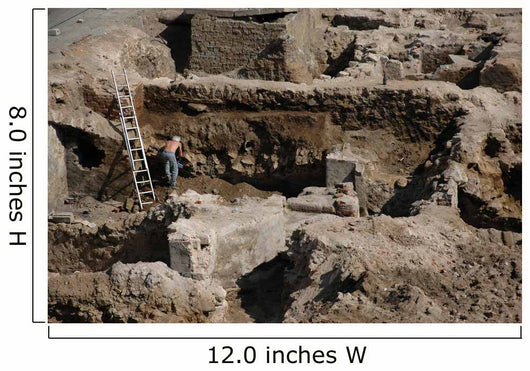 Archaeology Wall Mural