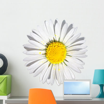 Daisy D E round Wall Decal shown on a wall