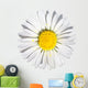 Daisy D e round Wall Decal