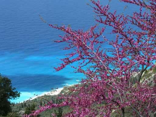 Greek Spring Wall Decal