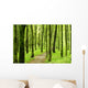 Forest Wall Mural