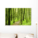 Forest Wall Mural