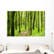 Forest Wall Mural