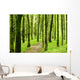 Forest Wall Mural
