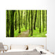 Forest Wall Mural