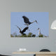 Cocoi Heron Ardea Cocoi Wall Mural