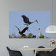 Cocoi Heron Ardea Cocoi Wall Mural