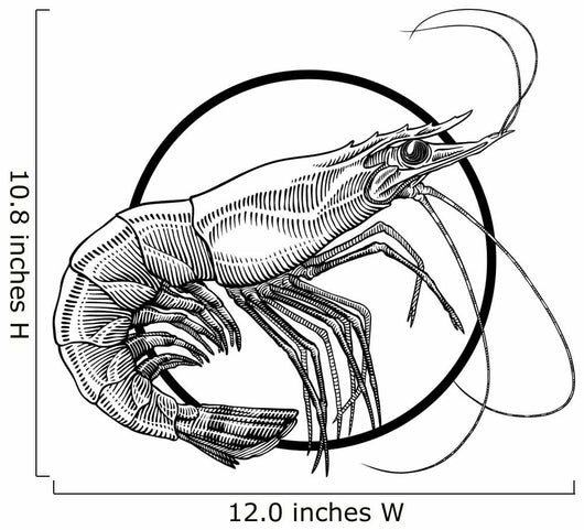 shrimp Wall Decal