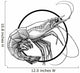 shrimp Wall Decal