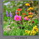 Flower Meadow Wall Mural