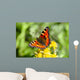 Butterfly Flower Wall Mural