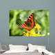 Butterfly Flower Wall Mural