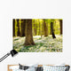 Forest Floor Spring 3