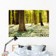 Forest Floor Spring 3