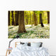 Forest Floor Spring 3