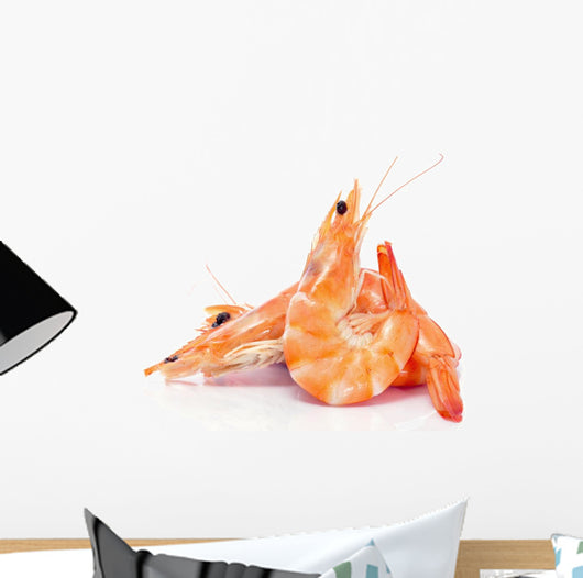 shrimps Wall Decal