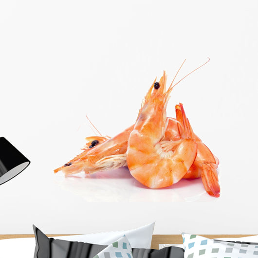 shrimps Wall Decal